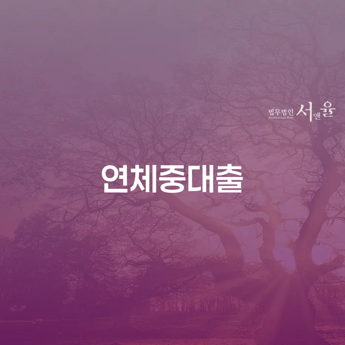 파산면책후누락채권 개인회생 제도 잘 하는 변호사