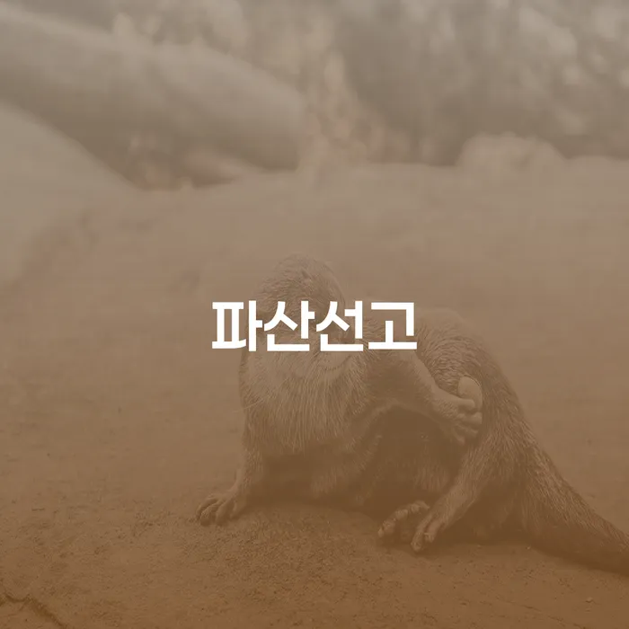 신용카드연체시 개인회생 신청해야할때