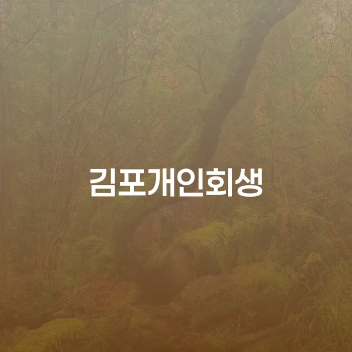 직장인개인회생 채무조정제도을 이용하여 면책받고