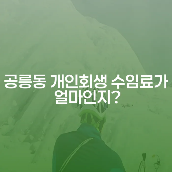 공릉동 개인회생 수임료가 얼마인지?