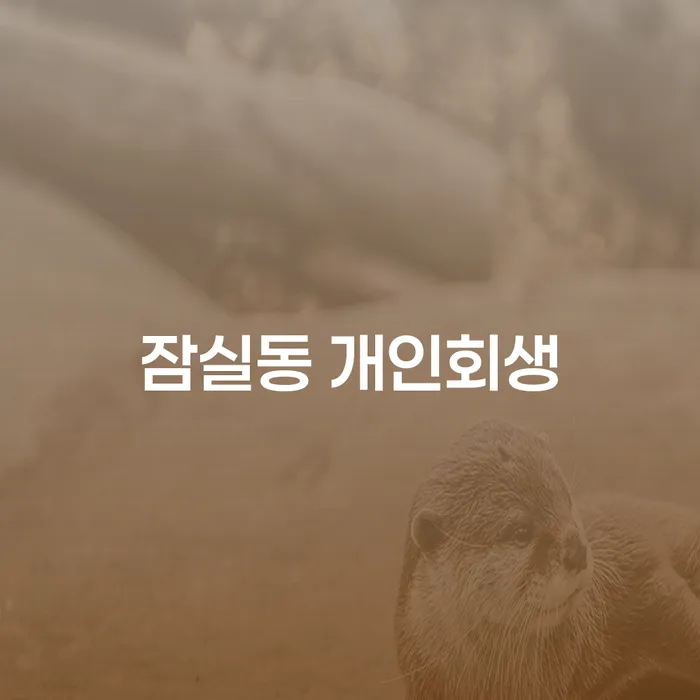 잠실동 개인회생 신청, 당신의 빚 문제를 해결할 수 있는 방법은?