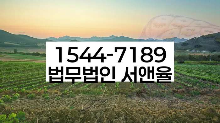 개인회생과 파산 절차
