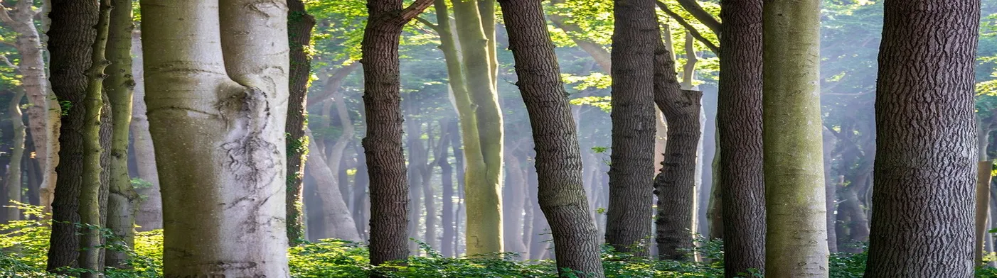 법무법인 서앤율